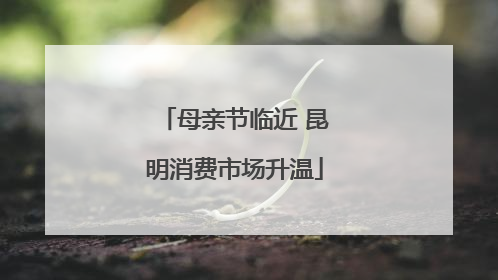 母亲节临近 昆明消费市场升温