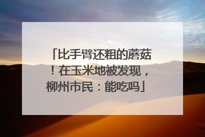 比手臂还粗的蘑菇！在玉米地被发现，柳州市民：能吃吗