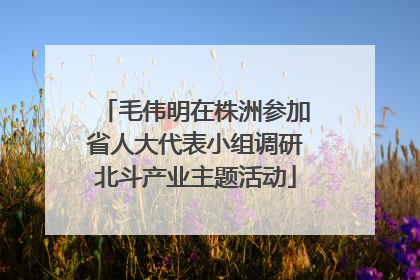 毛伟明在株洲参加省人大代表小组调研北斗产业主题活动