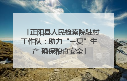 正阳县人民检察院驻村工作队：助力“三夏”生产 确保粮食安全