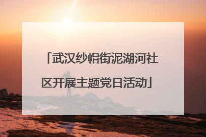武汉纱帽街泥湖河社区开展主题党日活动
