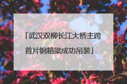 武汉双柳长江大桥主跨首片钢箱梁成功吊装