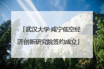 武汉大学·咸宁低空经济创新研究院签约成立
