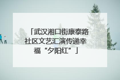 武汉湘口街康泰路社区文艺汇演传递幸福“夕阳红”