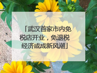 武汉首家市内免税店开业，免退税经济或成新风潮
