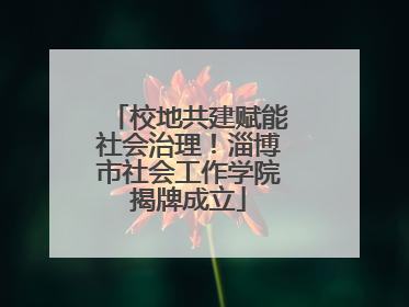 校地共建赋能社会治理！淄博市社会工作学院揭牌成立