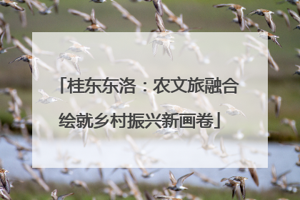桂东东洛：农文旅融合绘就乡村振兴新画卷