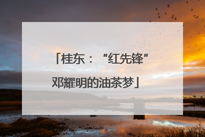 桂东：“红先锋”邓耀明的油茶梦