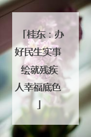 桂东：办好民生实事 绘就残疾人幸福底色