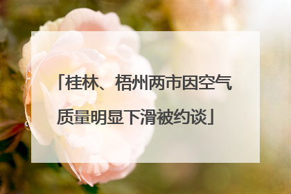 桂林、梧州两市因空气质量明显下滑被约谈