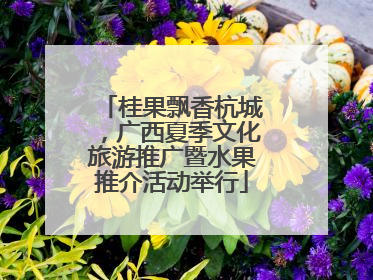 桂果飘香杭城，广西夏季文化旅游推广暨水果推介活动举行
