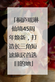 桐庐瑶琳仙境45周年焕新，打造长三角短途旅居首选目的地