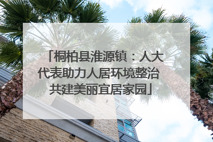 桐柏县淮源镇：人大代表助力人居环境整治 共建美丽宜居家园