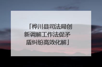 桦川县司法局创新调解工作法促矛盾纠纷高效化解