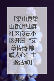 梁山县梁山街道红旗社区良嘉小区开展“艾草传情·粽暖人心”主题活动