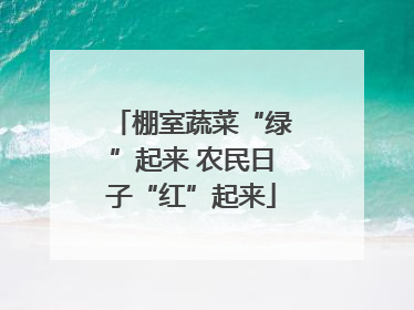 棚室蔬菜“绿”起来 农民日子“红”起来