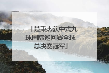 楚秉杰获中式九球国际巡回赛全球总决赛冠军