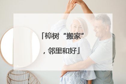 樟树“搬家”，邻里和好