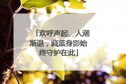 欢呼声起、人潮渐退，藏蓝身影始终守护在此