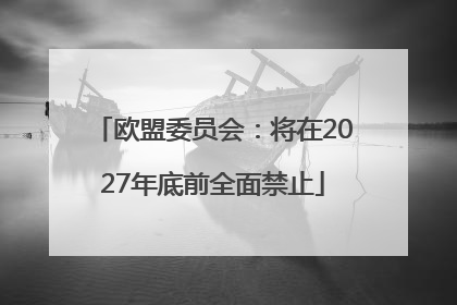 欧盟委员会：将在2027年底前全面禁止