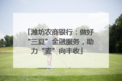 潍坊农商银行：做好“三夏”金融服务，助力“麦”向丰收