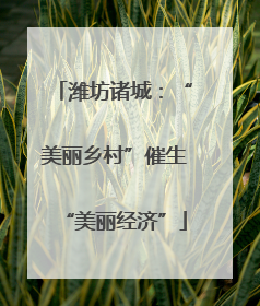 潍坊诸城：“美丽乡村”催生“美丽经济”