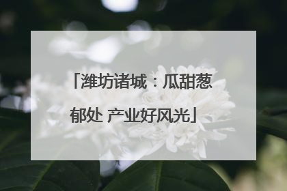 潍坊诸城：瓜甜葱郁处 产业好风光