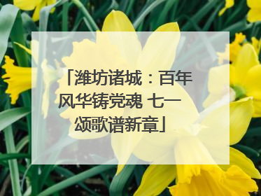 潍坊诸城：百年风华铸党魂 七一颂歌谱新章