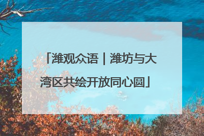 潍观众语｜潍坊与大湾区共绘开放同心圆