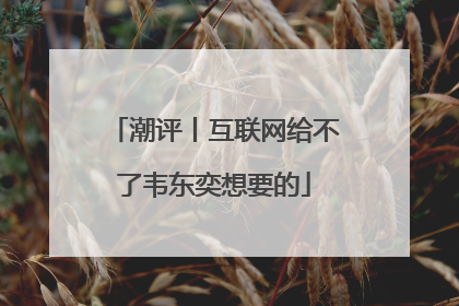 潮评丨互联网给不了韦东奕想要的