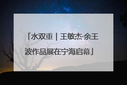水双重｜王敏杰·余王波作品展在宁海启幕
