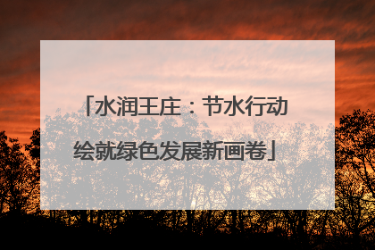 水润王庄：节水行动绘就绿色发展新画卷