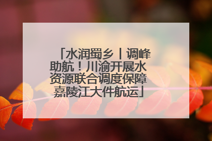 水润蜀乡丨调峰助航！川渝开展水资源联合调度保障嘉陵江大件航运