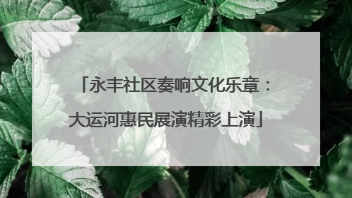 永丰社区奏响文化乐章：大运河惠民展演精彩上演