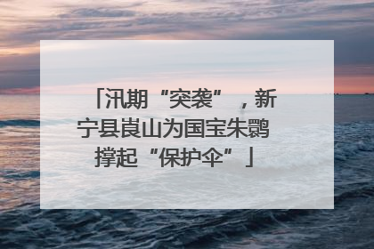 汛期“突袭”，新宁县崀山为国宝朱鹮撑起“保护伞”