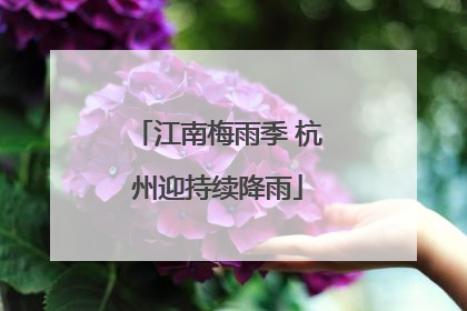 江南梅雨季 杭州迎持续降雨