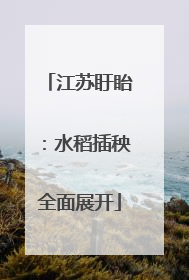江苏盱眙：水稻插秧全面展开