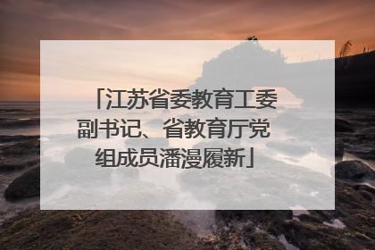 江苏省委教育工委副书记、省教育厅党组成员潘漫履新