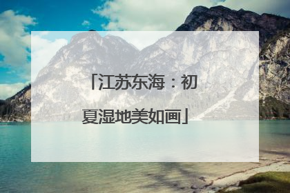 江苏东海：初夏湿地美如画