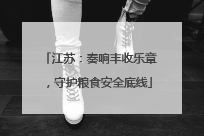 江苏：奏响丰收乐章，守护粮食安全底线