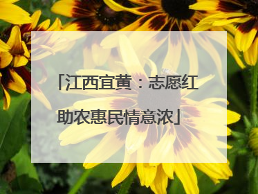 江西宜黄：志愿红助农惠民情意浓