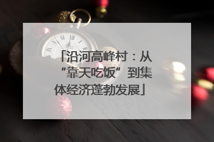 沿河高峰村：从“靠天吃饭”到集体经济蓬勃发展