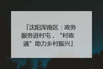 沈阳浑南区：政务服务进村屯，“村政通”助力乡村振兴