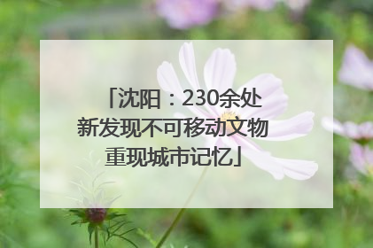 沈阳：230余处新发现不可移动文物重现城市记忆