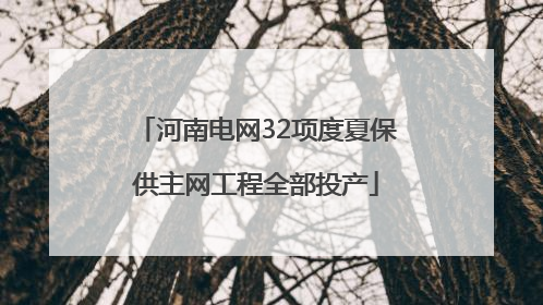 河南电网32项度夏保供主网工程全部投产