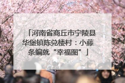 河南省商丘市宁陵县华堡镇陈兑楼村：小藤条编就“幸福图”