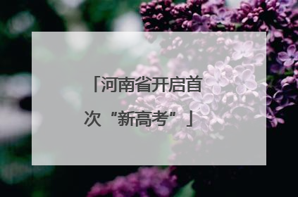 河南省开启首次“新高考”