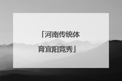 河南传统体育宜阳竞秀