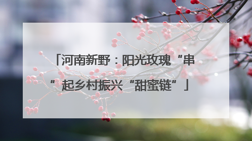 河南新野：阳光玫瑰“串”起乡村振兴“甜蜜链”