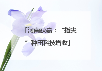 河南获嘉：“指尖”种田科技增收